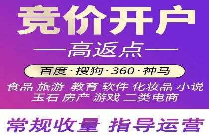 搜索引擎营销（SEM）竞价策略案例
